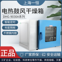 Shanghai Yiheng DHG-9030A 9070A 9140A Electric Heat Thermostatic Blast Dryer Laboratory Oven