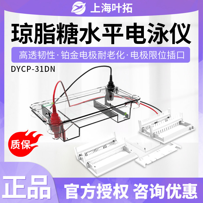 上海叶拓DYCP-31DN可搭配电源DYY-6C/6D琼脂糖水平电泳仪