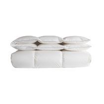 SIDANDA South American duck down quilt 95 down quilt 100 count cotton antibacterial winter quilt spring and autumn quilt quilt core to keep warm