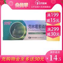 Clindamycin phosphate gel 20g acne acne vulgaris ointment