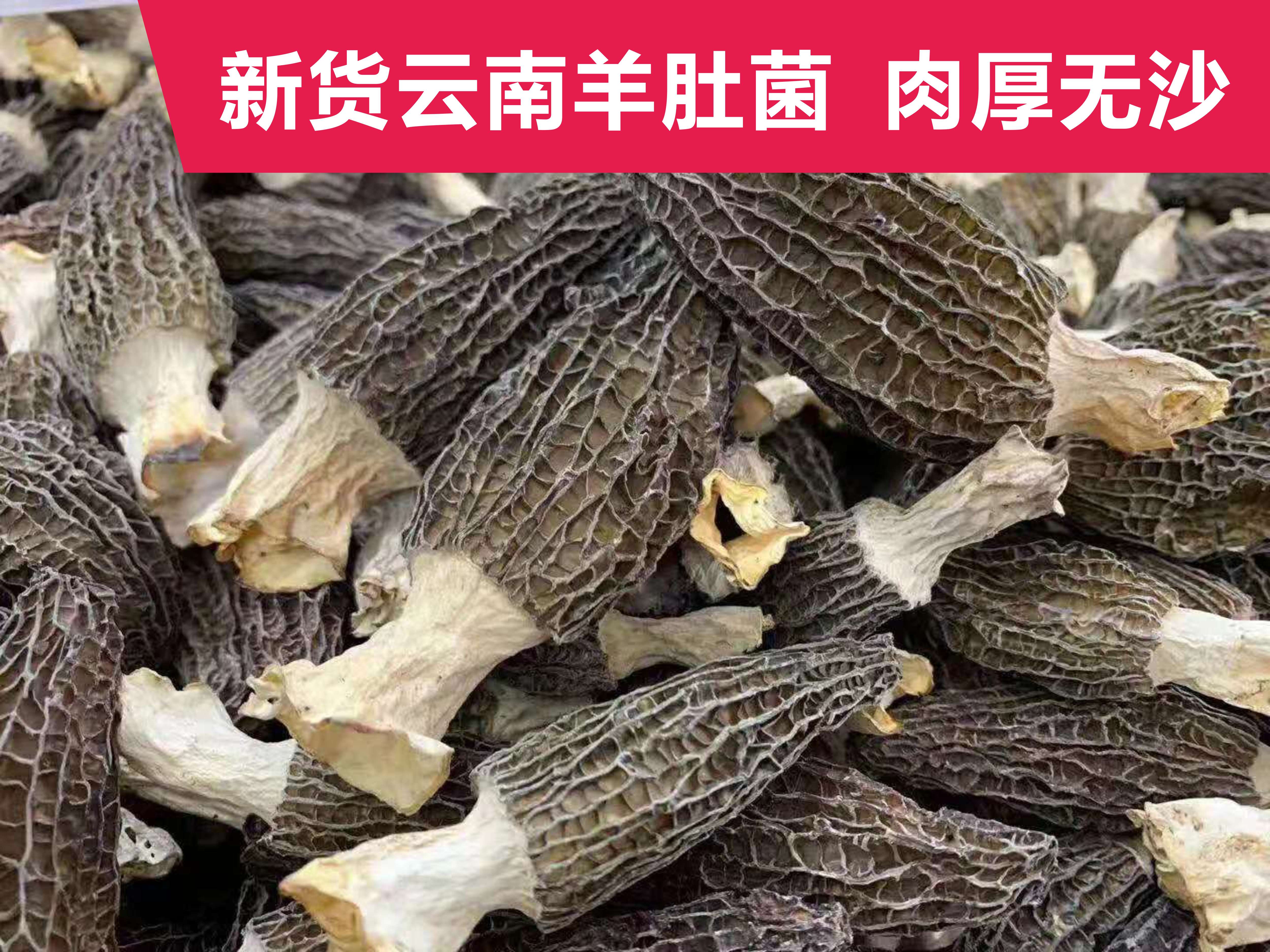 Goat Belly Fungus Dry Stock 100g Yunnan specialite Goat Belly Bacteria grade Saucepan Edible stock Goat Belly Mushrooms non-fresh mushrooms