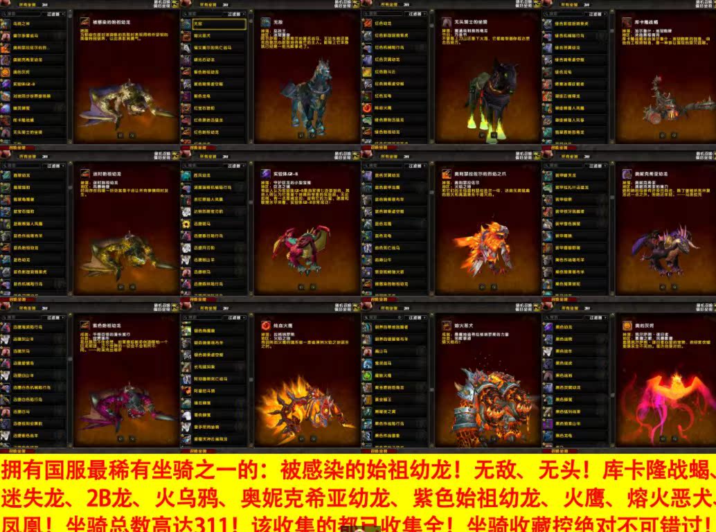魔兽世界账号盗贼瘟疫龙无敌无头战蝎凤凰mc熔火恶犬311只 魔兽世界账号盗贼瘟疫龙无敌无头战蝎凤凰mc熔火恶犬311只
