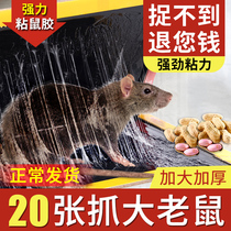 Mouse sticky strong mouse board catching sticky big mouse paste sticky glue catching Super rodent control home rat trap artifact mouse trap