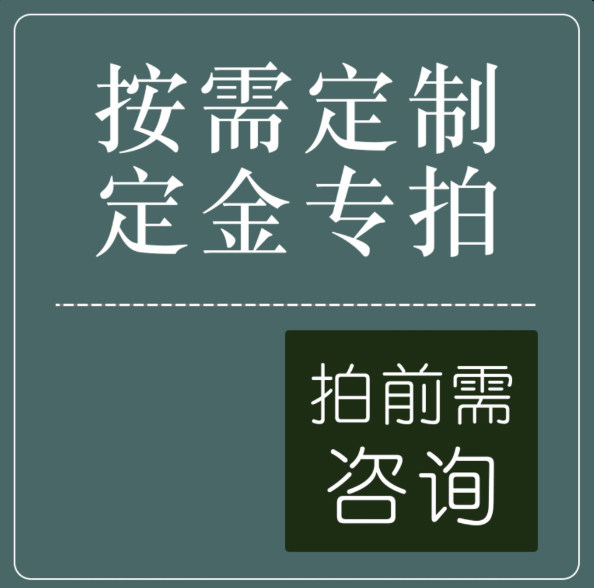 Custom Violin Adult Size Kids Play Solo Beginner Exam Level Custom Shot