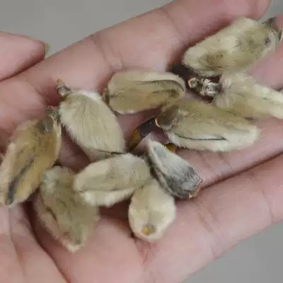 辛夷花中药材正品辛夷花毛桃辛夷香料100克不打粉满48元包邮