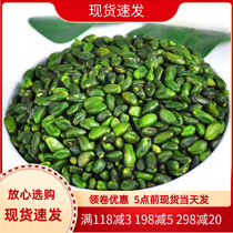 Green Pistachio Kernels 100g Original Flavor Raw Iranian Imported Green Baked Pastry Decoration