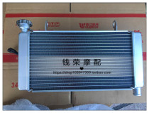 Qian Rong Motorcycle suitable for Huanglong BJ600GS-A BN600i water tank radiator Water-cooled box fan group