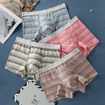 Panty mens boxers pure cotton youth spring and summer sweat-absorbing breathable light-color fashion trend striped color cotton boxer stretch