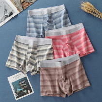 Mens underwear mens cotton boxer teenagers Development students boxer pants cotton bottoms head shorts summer