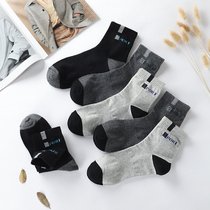 Teenage socks male cotton cotton anti-odor sweat breathable Middle School junior high school students high school sports socks