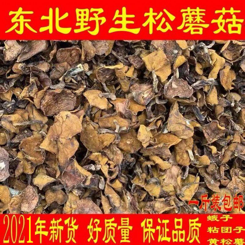 New goods pine mushroom northeast specialty wild pine mushroom dry goods sticky moth pine mushroom mushroom 500g