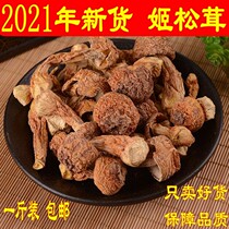 2020 New wild matsutake Agaricus matsutake mushroom mushroom stew chicken soup fungus