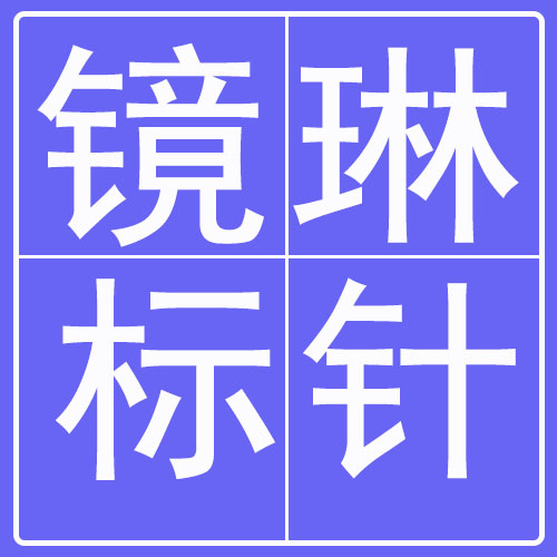 镜琳打标针