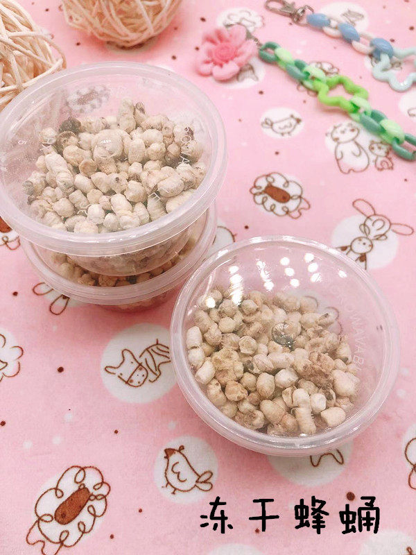 Freeze-dry bee pupa bag hamster Spanish sleepy mouse snack supplements high protein high nutrition