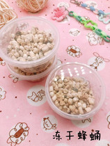 Lyophilized bee pupa honey bag glider hamster Spanish dormouse small snacks supplement high protein and high nutrition