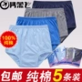 Ông già cộng với phân bón để tăng quần lót cho người trung niên và người cao tuổi Quần short cotton cỡ lớn bằng vải cotton quần lót nam cotton cao cấp