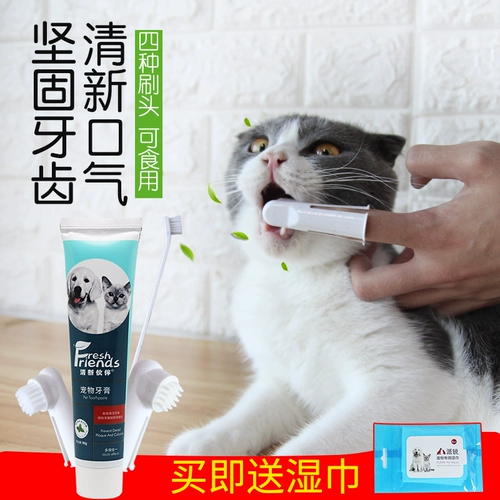 Зубная щетка для кошек Зубная паста зуб