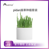 Cat Grass Planting Suit to Mao Ball Stuffed Cat Mint Wheat Seed Cat Snacks Cat Potted Pidan Cat Grass