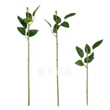 Симуляция розовые ветви с листовым розовым полюсом аромат