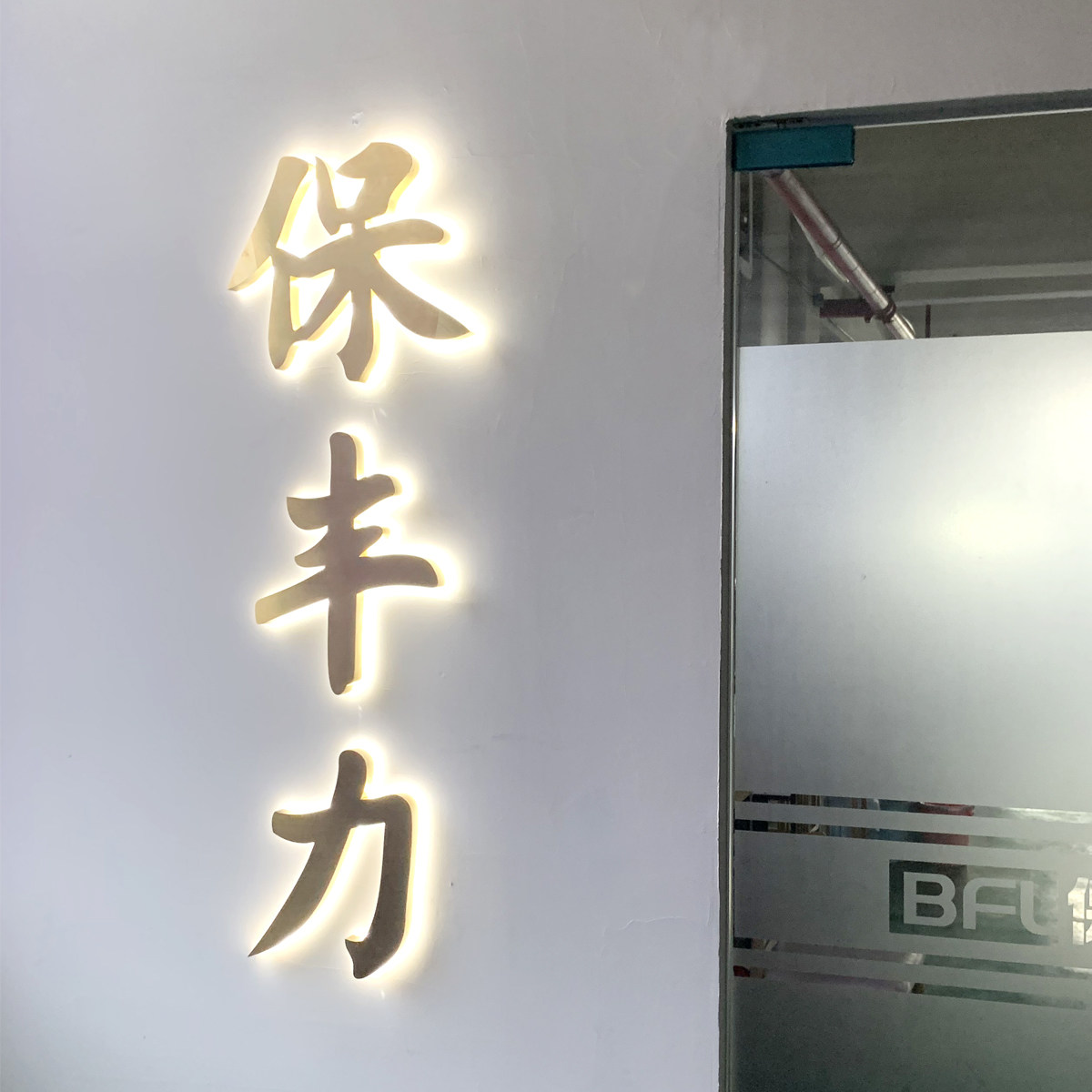 保丰力新能源企业店
