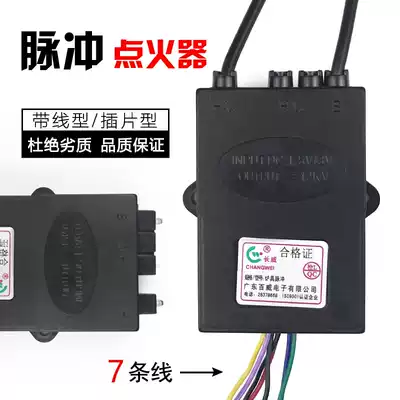 Double needle Thermocouple Type double furnace pulse flameout protection 0 seconds start igniter v Gas Gas stove accessories