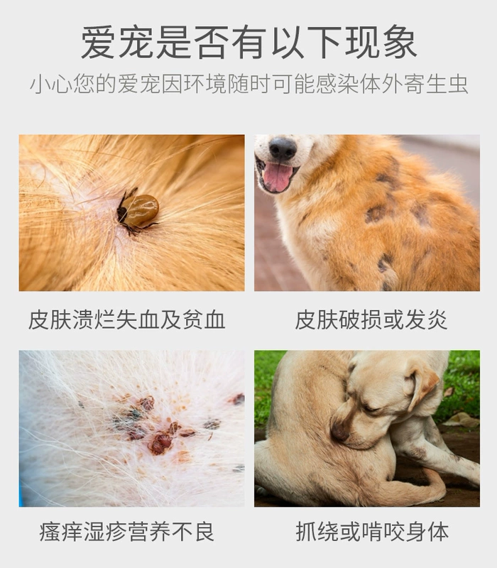 Con chó cưng duy nhất của Jue in vitro tẩy giun mèo mèo bọ chét chó diệt bọ chét - Cat / Dog Beauty & Cleaning Supplies