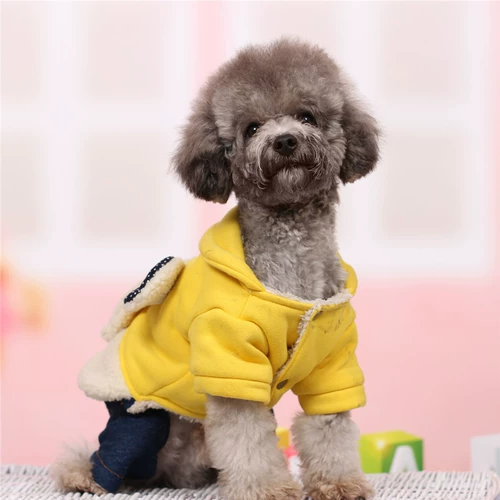 Сеть красного щенка одежда для собак самка