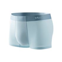 Catman Ice Silk Mens Underwear Boys Summer Thin Seamless Boxer Shorts Breathable Large Size Boxer Briefs Mens