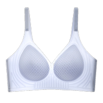 Catman Underwear Womens Summer Thin Small Breast Gathering Anti-Sagging Secondary Breasts Beautiful Back Bra 2024 New Hot Style