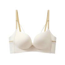 Catman Seamless Underwear Womens Push Up Small Breasts Show Bigger Sexy Wireless Upper Breast Holding Anti-Sagging Bra