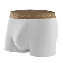 Catman modal cool underwear mens boxer briefs autumn and winter boys boxer sports breathable shorts mens style