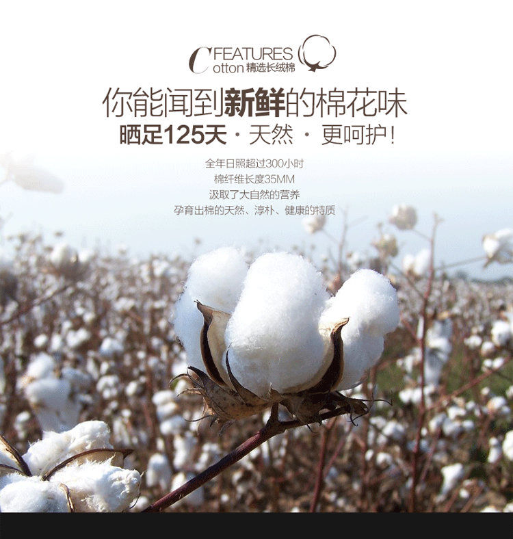 Slip jeunesse sexy en coton - Ref 642520 Image 7