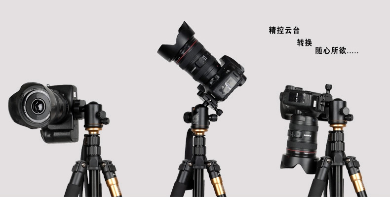 Trọng lượng nhẹ kỷ nguyên Q666 SLR máy ảnh tripod nhiếp ảnh máy ảnh chân máy xách tay micro duy nhất self-timer bracket Canon Nikon Sony điện thoại di động sống DV máy ảnh câu cá đêm ánh sáng đứng túi đựng máy ảnh film
