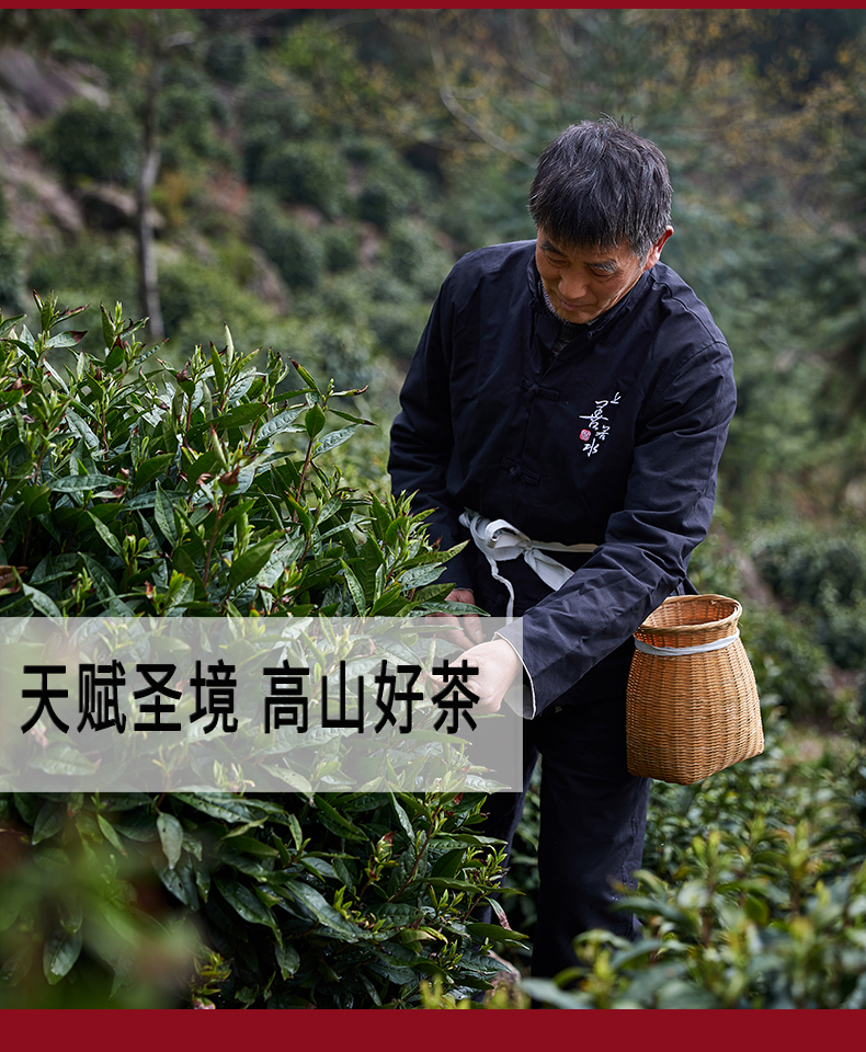 祁野 祁门红茶 特级祁红香螺茶 250g 图5