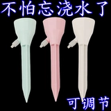 Автоматическое капельное домашнее цветочное горшок для водопояива