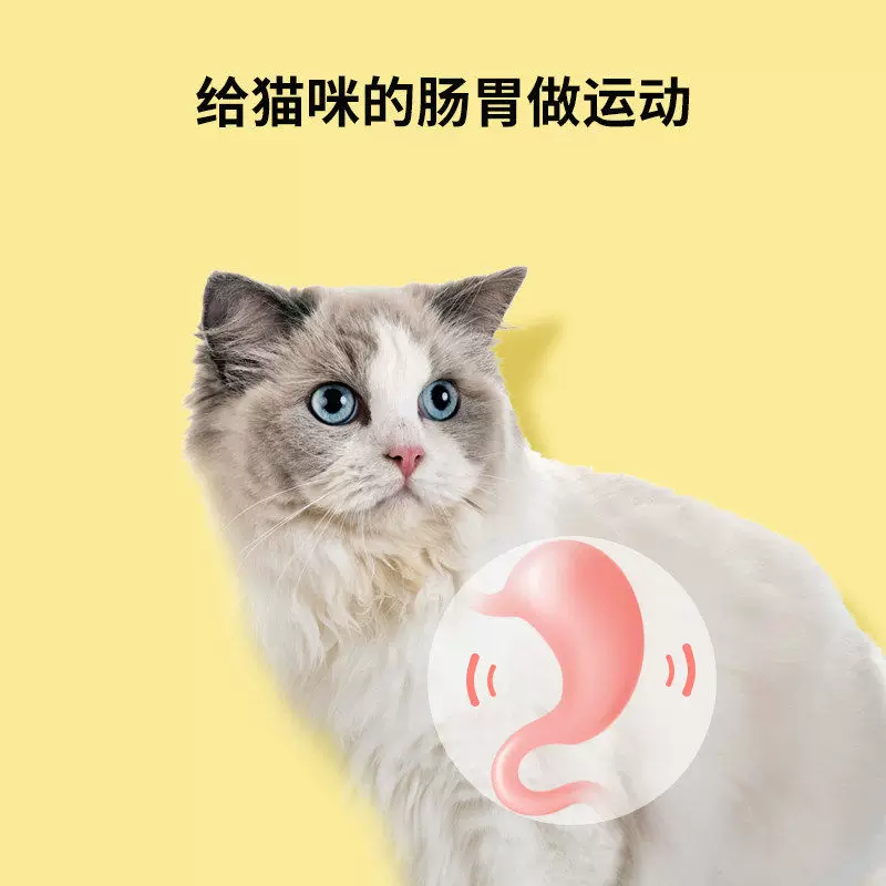 Toy, mint teether, set, cat, getting rid of boredom