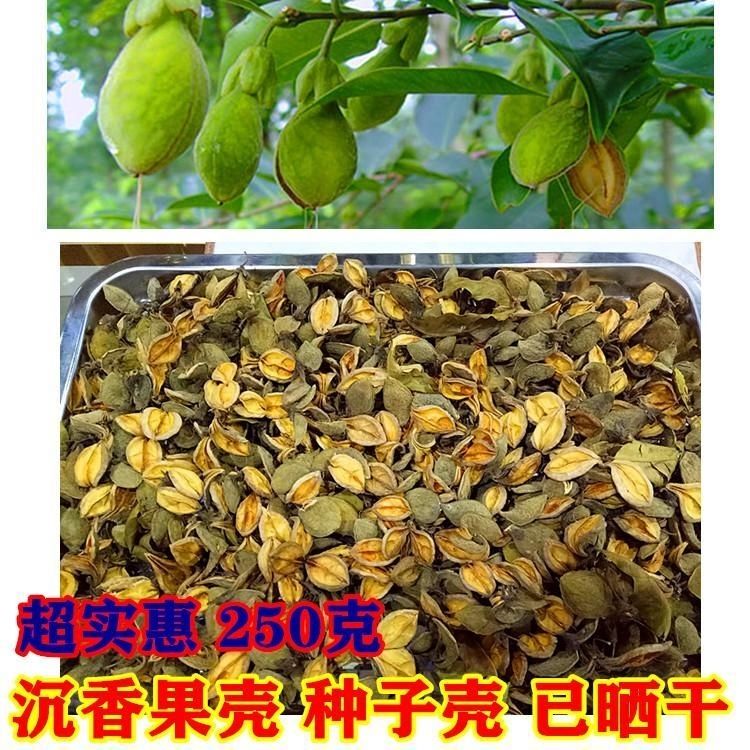 Pure Natural Agarwood Fruit Shell Chess Nanwan Incense Guangdong White Wood Incense Shell Health Fruit Tea Sun-Dried Authentic Fruit Seedless