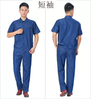 Короткие рукавы [Dested Model-Blue]