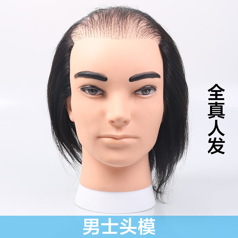 Men's human head model balding display a hair block Hair Raising Dummy head True hair Learning Head Hair Model Head Male Mediterranean