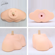 Wig bracket Headform with shoulder bracket Dummy headform with shoulder Headform Dummy headform with shoulder Model head