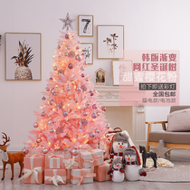 Christmas Pink Gradient Christmas tree trembles ins Wind 1 5 meters 1 8 meters 2 1 meters hotel shopping mall window decoration