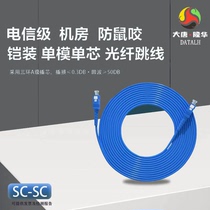 Datang Longhua armored single-mode single-core fiber jumper FC to SC to LC fiber optic extension cable carrier grade