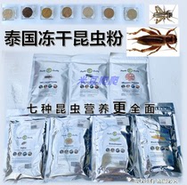 Thailand imported crickets silkworm pupae carnivorous lizards ciliary horns giants palace guards maned lions auxiliary nutrition powder fruit puree food