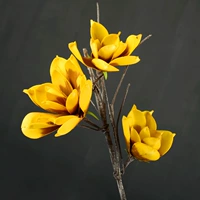 Желтый пион