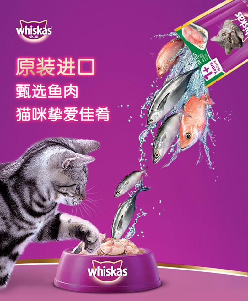 Weijia Miao gói tươi mèo nhập khẩu đồ ăn nhẹ mèo Weijia Cheng thức ăn cho mèo đóng hộp tươi Cá ngừ mèo ướt thức ăn 85g * 12 - Đồ ăn nhẹ cho mèo mèo ăn hạt có tốt không