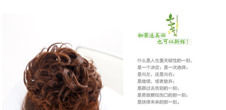 Extension cheveux - Chignon - Ref 228330 Image 33