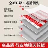 Ева сгущенное украшение на пол защитная пленка пленка плитка керамическая плитка пола на пол влаги