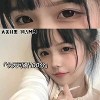 14,5 мм] Damei Black [Apricate Your Eyes Girl Daily Natural Model]