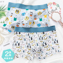 Personality Mens Underwear Ice Silk Thin Mid-waist Breathable Underwear Boys Boxer Head Boxer Pants Trend Printing