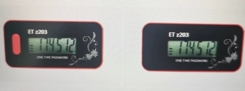 Целостность Цзяньши et Z203 Динамический токен (время)